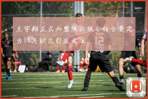 王宇翔正式加盟陕西联合转会费定为18万欧元引发关注