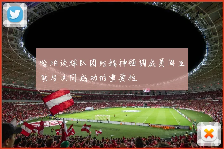 哈珀谈球队团结精神强调成员间互助与共同成功的重要性
